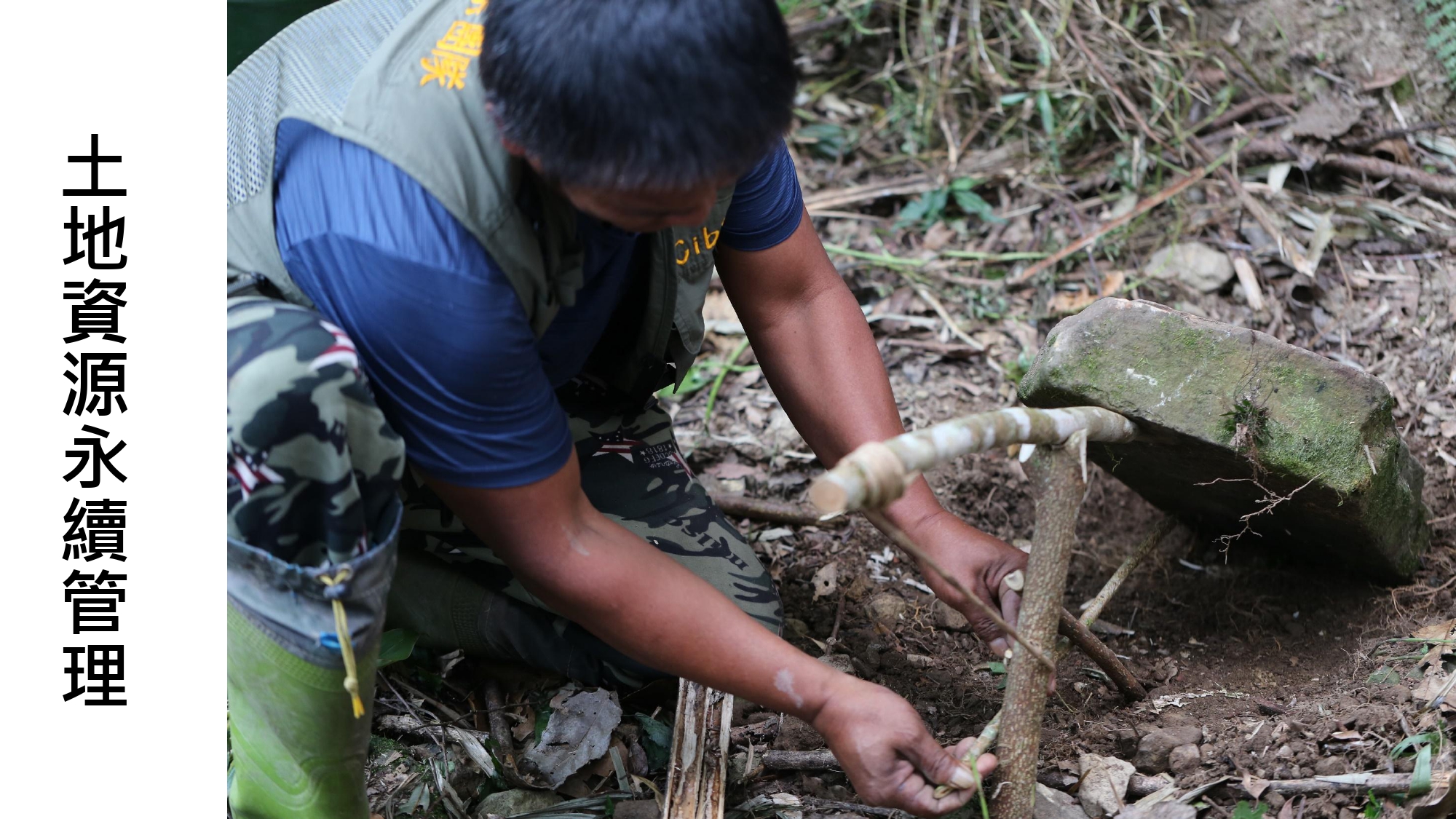 無螫蜂生態導覽